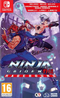 Ninja Gaiden Ragebound NS
