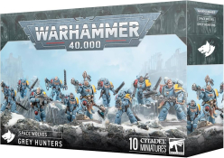 Space Wolves Grey Hunters