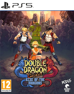 Double Dragon Gaiden Rise of the Dragons