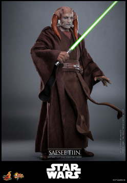 Star Wars: Episode III - Revenge of the Sith Movie Masterpiece Action Figure 1/6 Saesee Tiin 31 cm