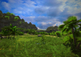 Tropico 5 Ekstra Klasyka