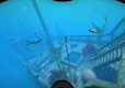 World of Diving (PC) DIGITAL
