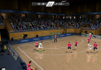 IHF Handball Challenge 14 (PC) klucz Steam
