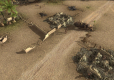 Theatre of War 2: Battle for Caen (PC) DIGITAL Steam