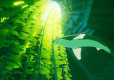 ABZU