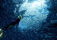 ABZU