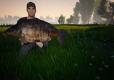 Euro Fishing (PC) DIGITAL