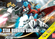 HG 1/144 STAR BURNING GUNDAM CAMPAIGN