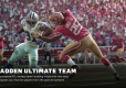 Madden NFL 19 (PC) DIGITAL