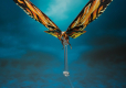 Godzilla King of the Monsters zestaw figurek Mothra i Rodan