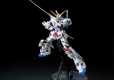 MG 1/100 UNICORN GUNDAM RED/GREEN FRAME TITANIUM