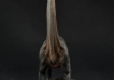Jurassic Park Prime Collectibles PVC Statue 1/38 Brachiosaurus 35 cm