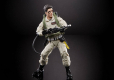 Ghostbusters Plasma Series Action Figure 2020 Wave 1 Egon Spengler 15 cm