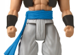 DRAGON BALL LIMIT BREAKER SUPER SAIYAN BLUE GOGETA