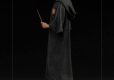 Harry Potter Art Scale Statue 1/10 Harry Potter 17 cm