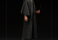 Harry Potter Art Scale Statue 1/10 Harry Potter 17 cm