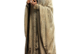 Lord of the Rings Statue Saruman The White 19 cm