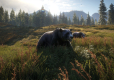 TheHunter: Call of the Wild (PC) PL klucz Steam