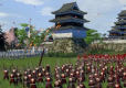 Total War: Shogun 2 Collection (PC) klucz Steam