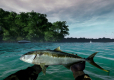 Ultimate Fishing Simulator - Gold Edition (PC) PL klucz Steam