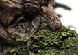The Lord of the Rings Statue 1/6 Leaflock the Ent 76 cm
