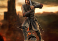 Lord of the Rings Gallery PVC Statue Aragorn 25 cm