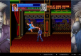Double Dragon Collection (import)