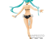 HATSUNE MIKU RACING Ver. - RACING MIKU 2022 TROPICAL MAID VER.