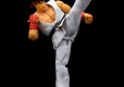 Ultra Street Fighter II: The Final Challengers Action Figure 1/12 Ryu 15 cm