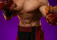 Mortal Kombat Art Scale Statue 1/10 Liu Kang 23 cm