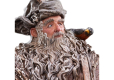 The Hobbit Trilogy Statue 1/6 Radagast 30 cm
