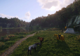 Kingdom Come: Deliverance II Day One Edition ANG/PL