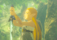 The Legend of Zelda Breath of the Wild