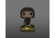 Lord of the Rings POP! Plus Movies Frodo Baggins(GW) 9 cm nr 1832
