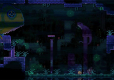 Animal Well (import)