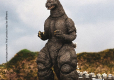 Godzilla Exquisite Basic Godzilla vs King Ghidorah Godzilla Hokkaido 18 cm