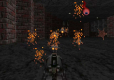 Rise of the Triad: Ludicrous Edition (Import)