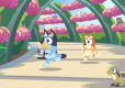 Bluey's Happy Snaps - Deluxe Edition