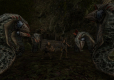 Gothic 2 Complete Classic