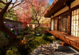 House Flipper 2 + Sakura DLC