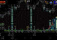 Beholgar (Import)
