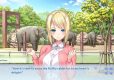 Days Collection: Akiba Heroines First Print Edition (Import)