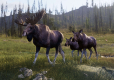 Way of the Hunter 2